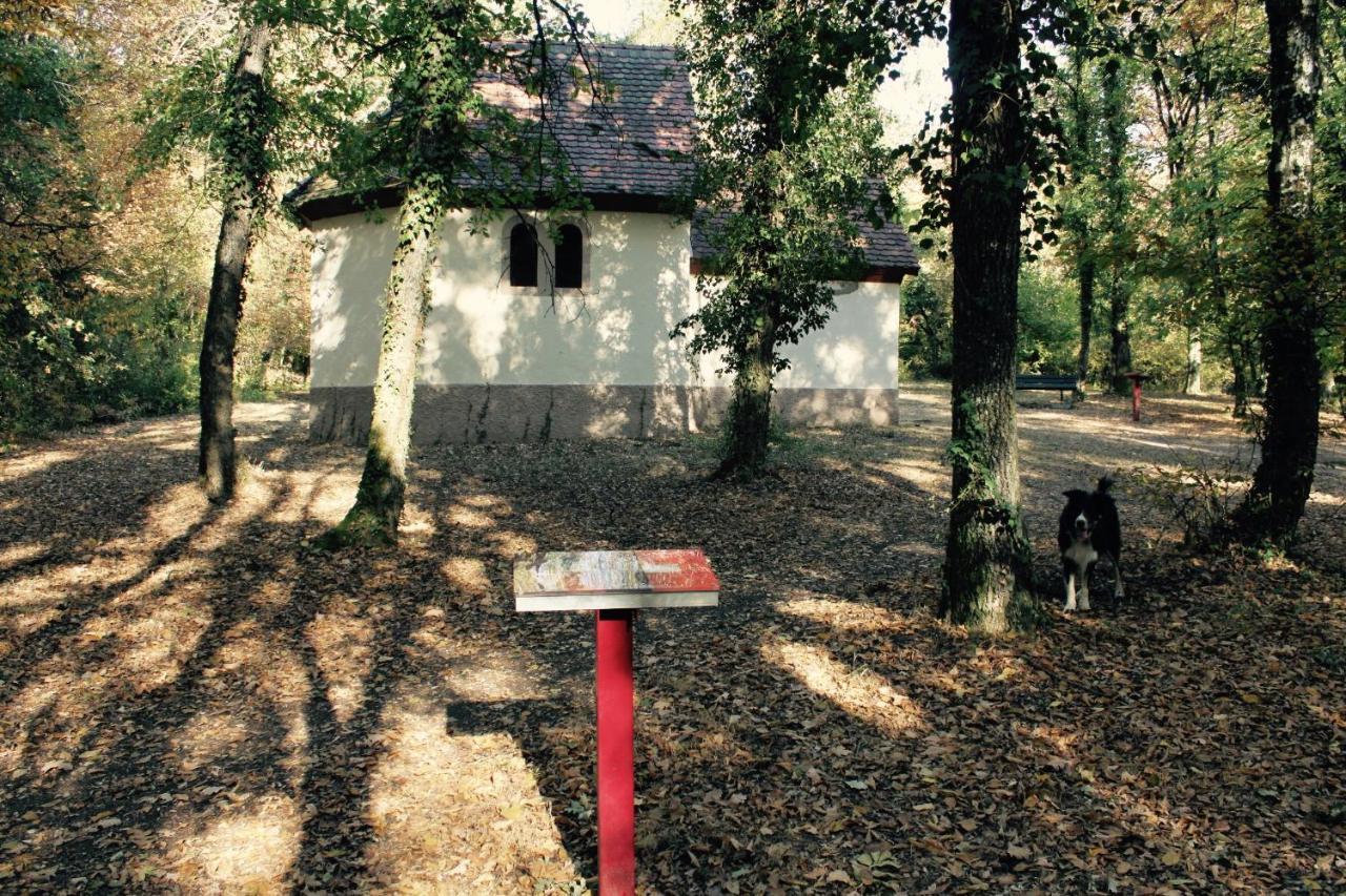 Gites D'Illfurth Экстерьер фото