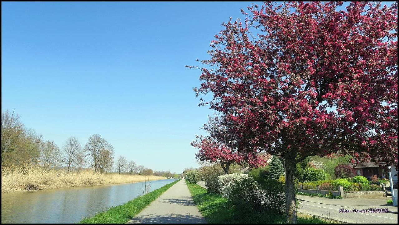 Gites D'Illfurth Экстерьер фото